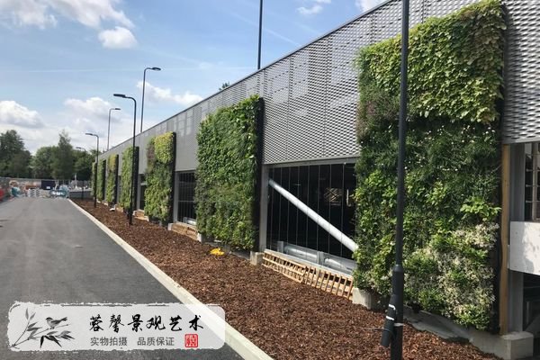 商業(yè)停車場(chǎng)植物墻