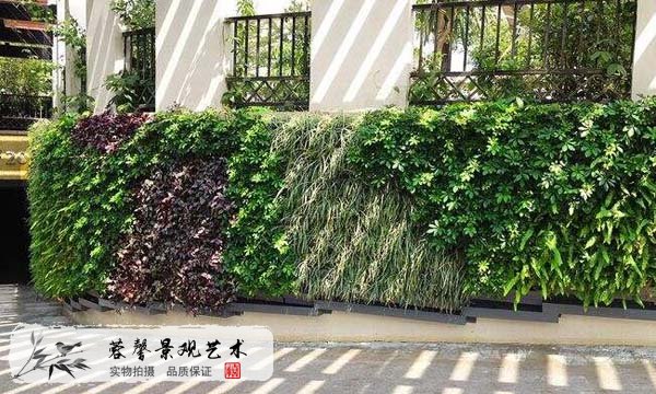 室內(nèi)植物墻公司哪家好