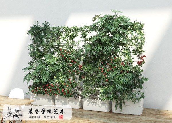 室內(nèi)植物墻哪家好