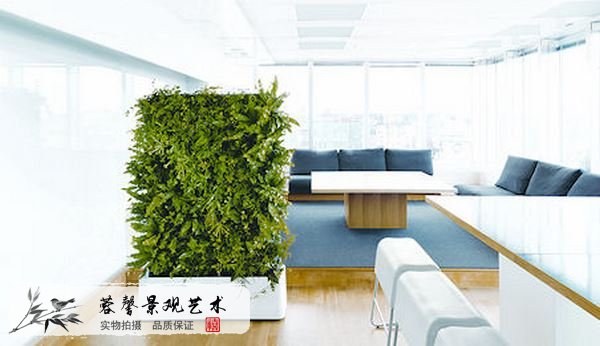 室內(nèi)植物墻哪家好