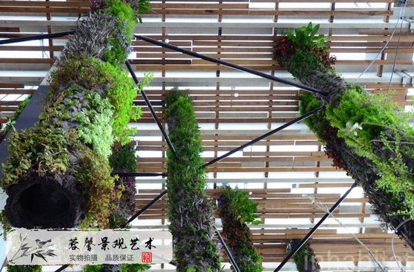 室內(nèi)植物墻哪家好