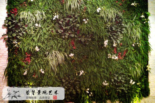 室內(nèi)植物墻哪家好