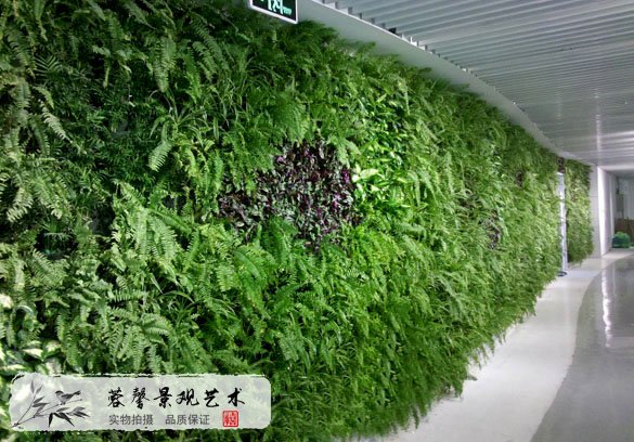 植物造型墻