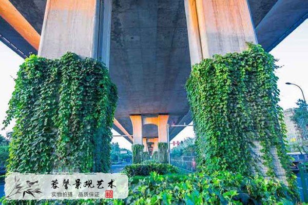 高架橋橋墩植物墻