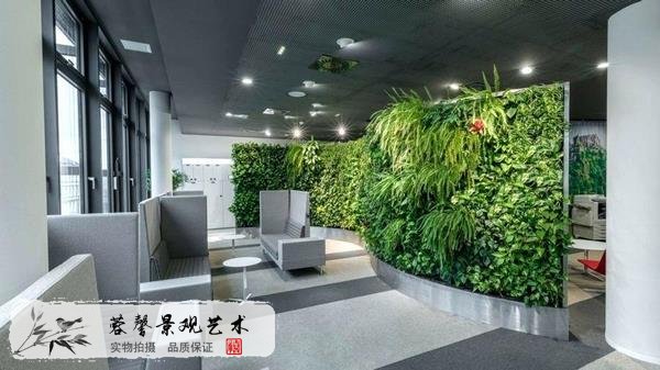 植物墻植物過(guò)度生長(zhǎng)