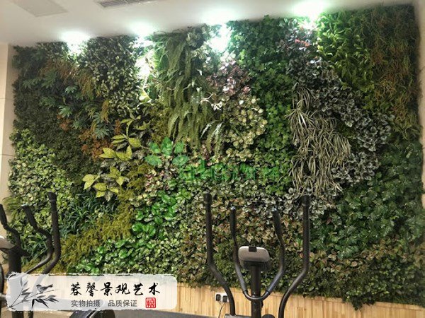 仿真植物墻裝飾