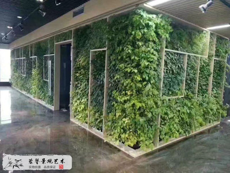 展覽展示植物墻