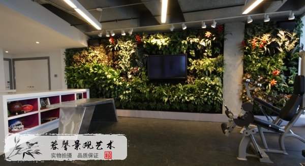 電視背景植物墻