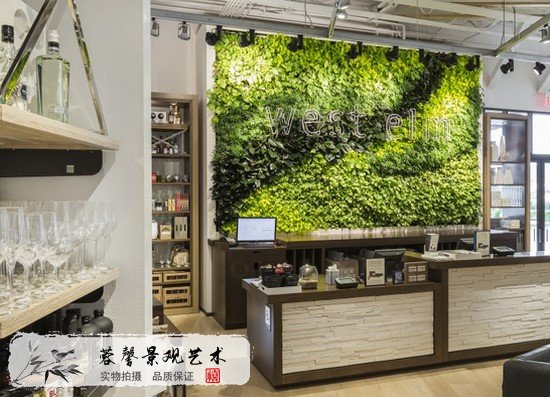 小型植物墻