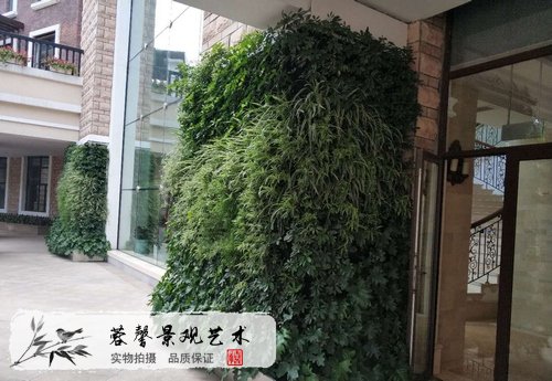 自制植物墻