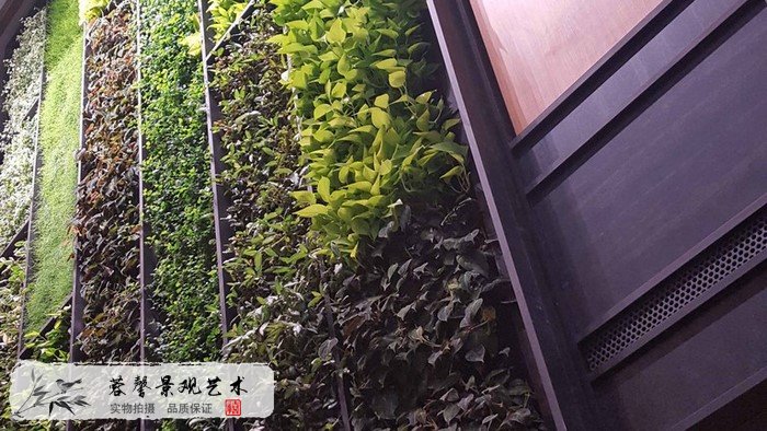 植物墻設(shè)計(jì)制作