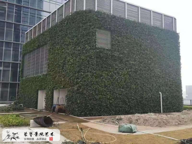 樓頂露臺(tái)墻體植物墻