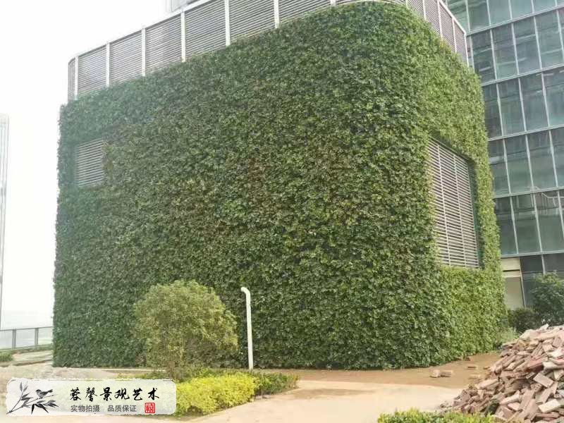 樓頂露臺(tái)墻體植物墻