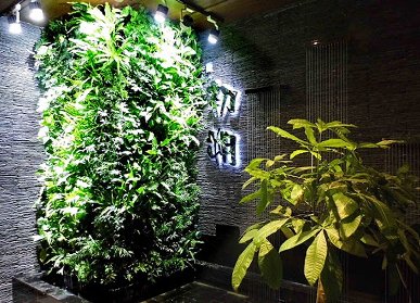 植物墻特性