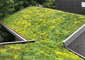 屋頂花園的好處