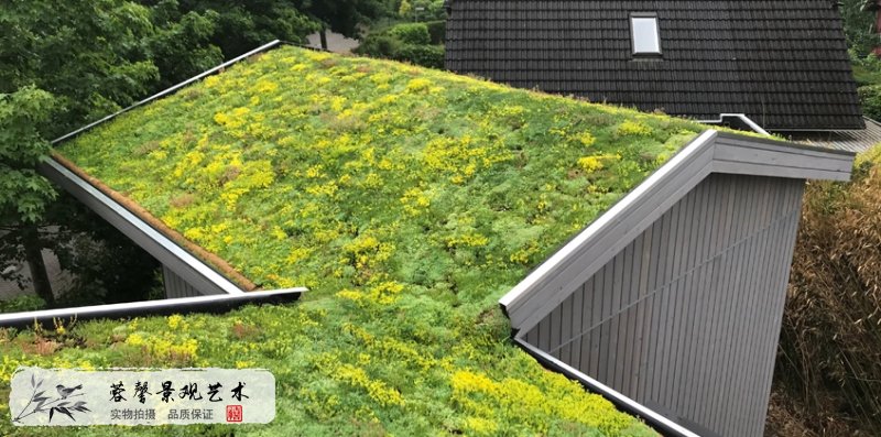 屋頂花園的好處