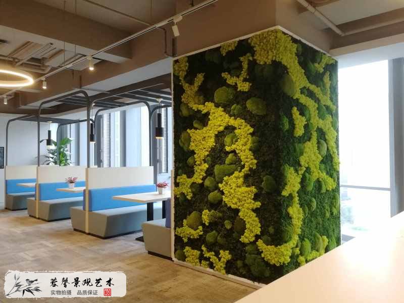 植物墻植物養(yǎng)護