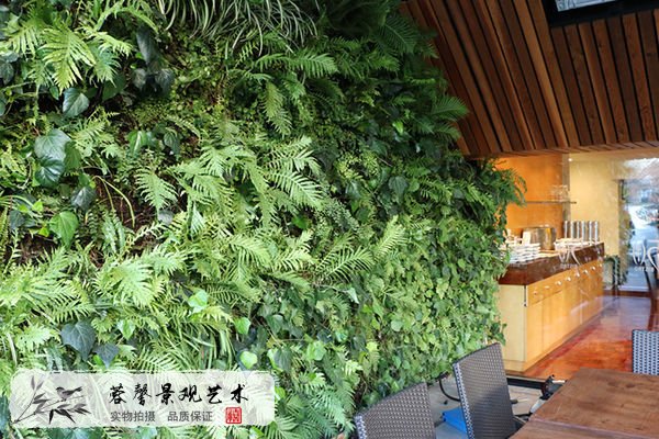 室內(nèi)植物墻軟裝