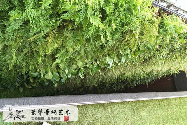 春季植物墻制作