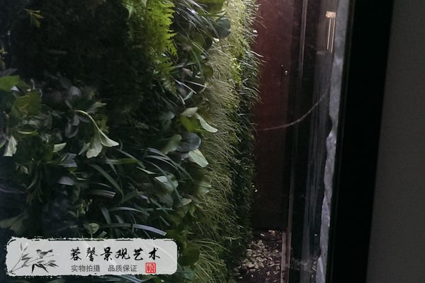 春季植物墻制作