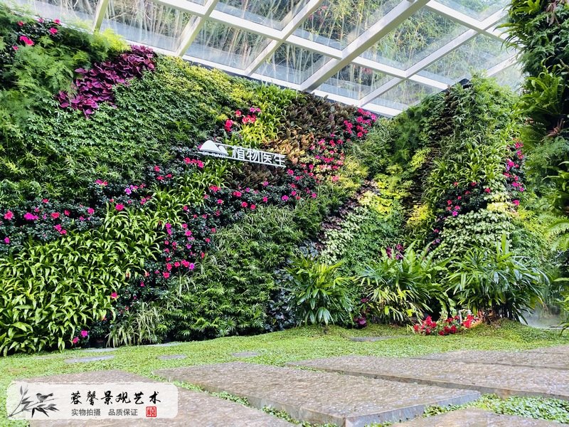 室外植物墻保養(yǎng)