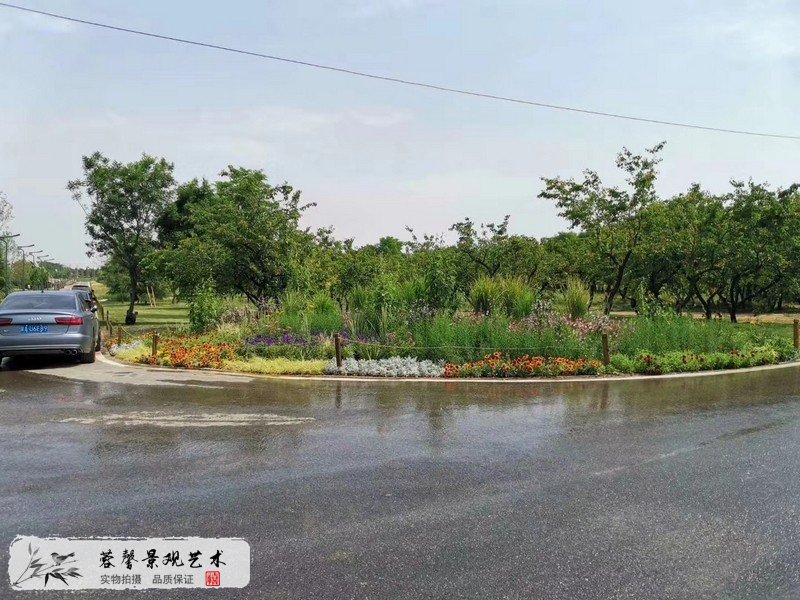 市政公園、轉(zhuǎn)盤花境景觀花壇綠化