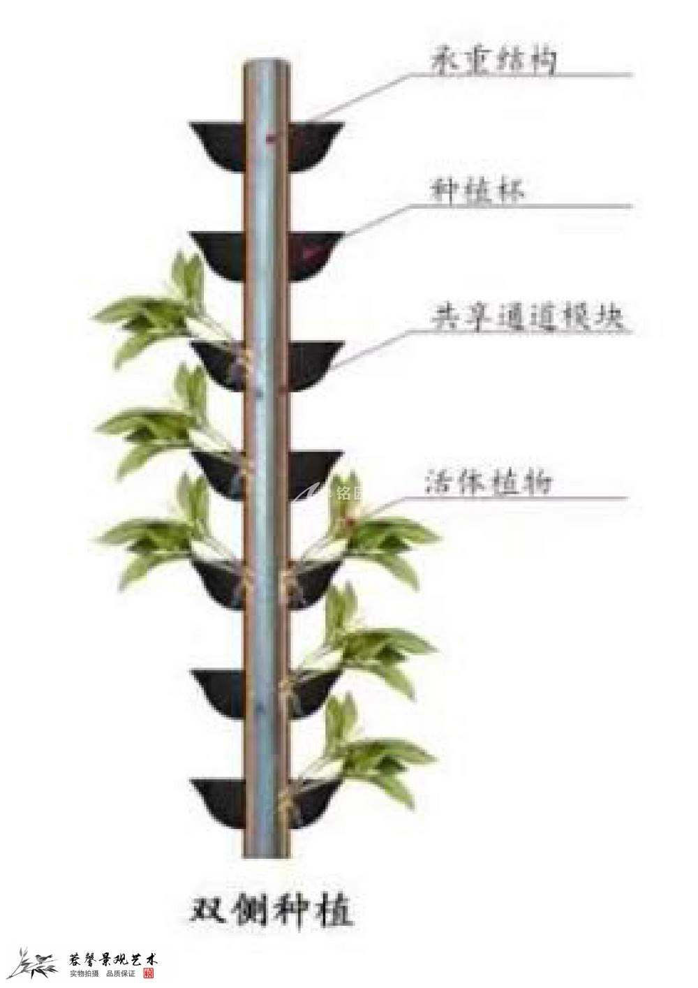 塑木通道式+巖棉植物墻容器介紹1_3.jpg