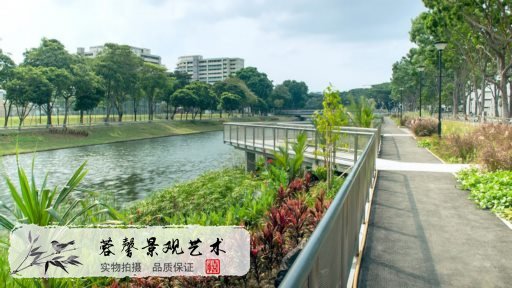 河道護(hù)坡綠化