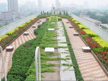 屋頂花園