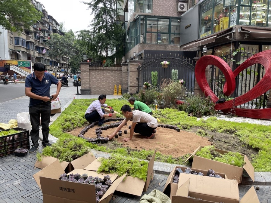 小區(qū)外花境景觀綠化