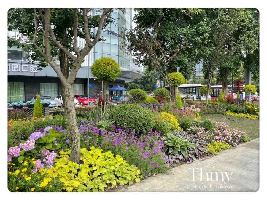 街道花鏡花景景觀