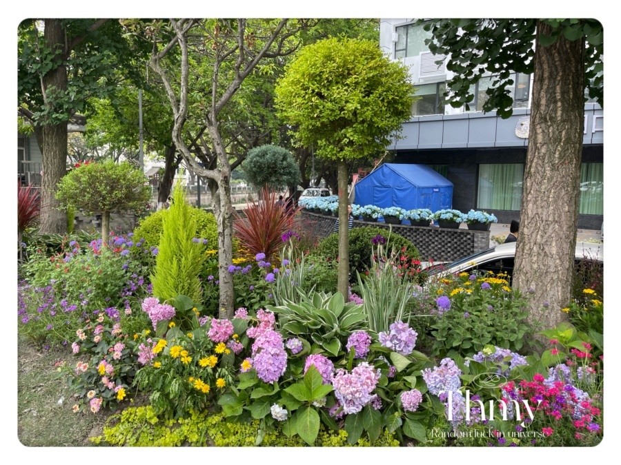 街道花鏡花景景觀