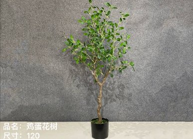 仿真雞蛋花樹