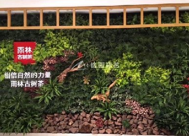 綠植背景形象墻