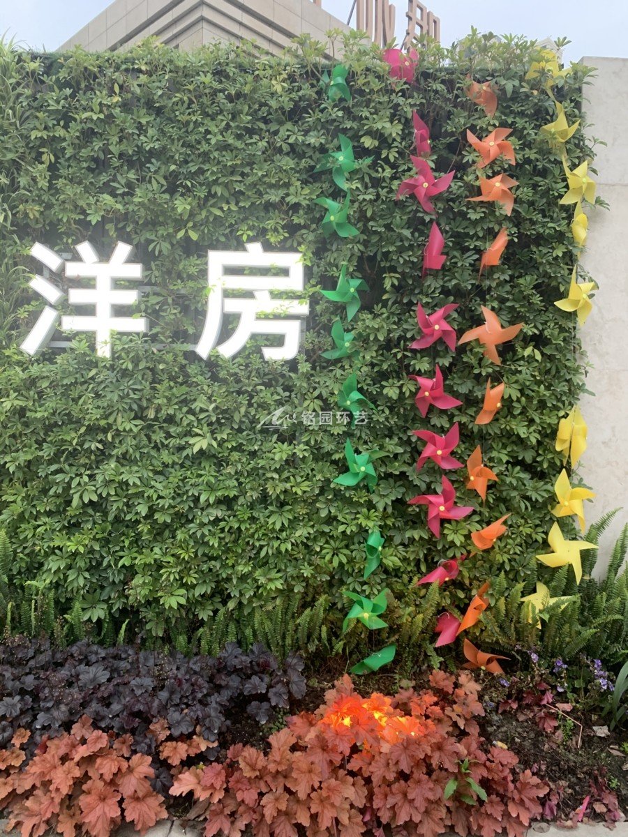 室外隔斷植物墻