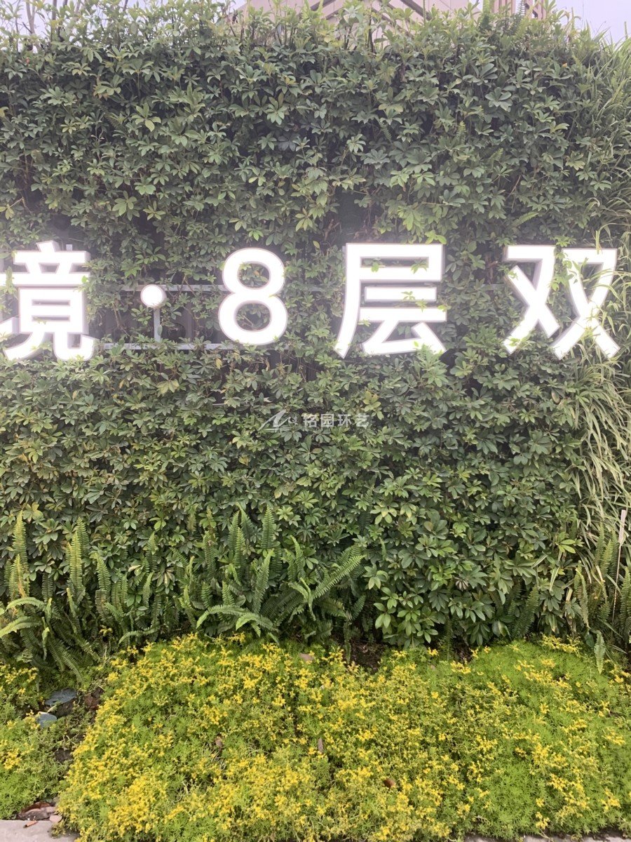 室外隔斷植物墻