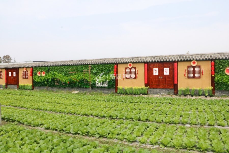 藝術(shù)節(jié)植物墻